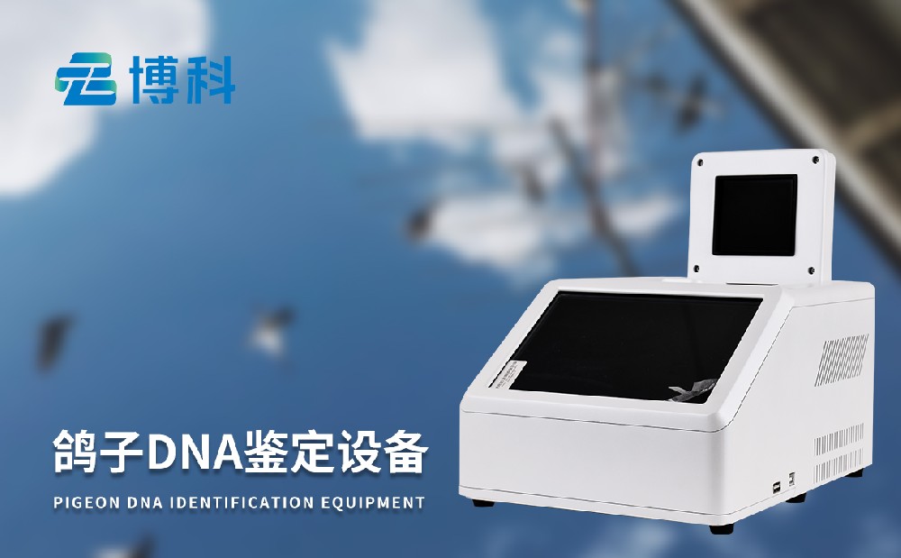 鴿子dna鑒定設備 鴿子dna鑒定設備