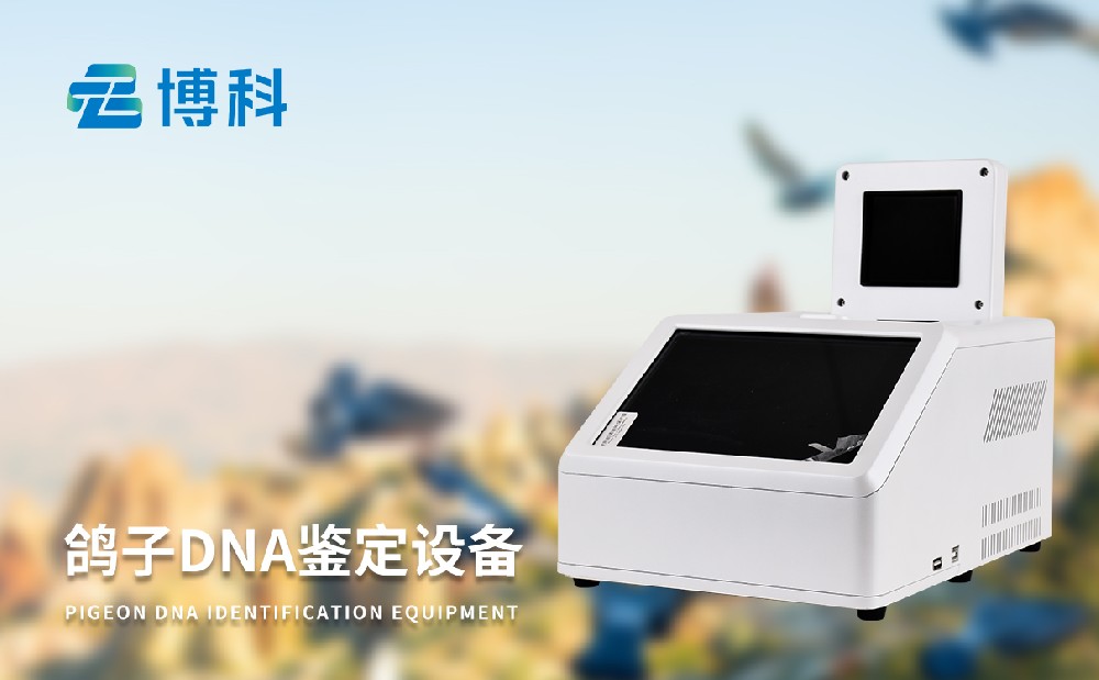 鴿子DNA鑒定設備  鴿子DNA鑒定設備