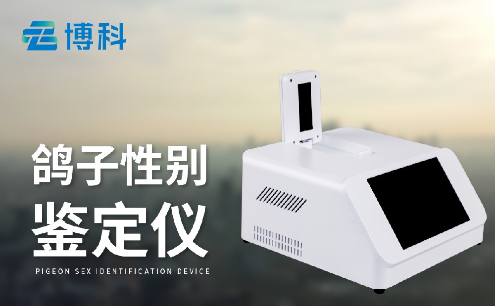 鴿子性別測(cè)定儀 鴿子性別測(cè)定儀