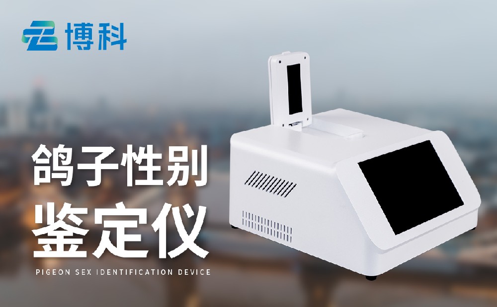 鳥類性別檢測儀